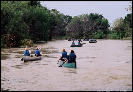 canoes8